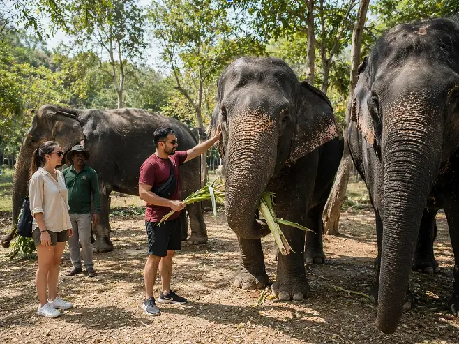 Things to Do in Hathi Gaon Jaipur